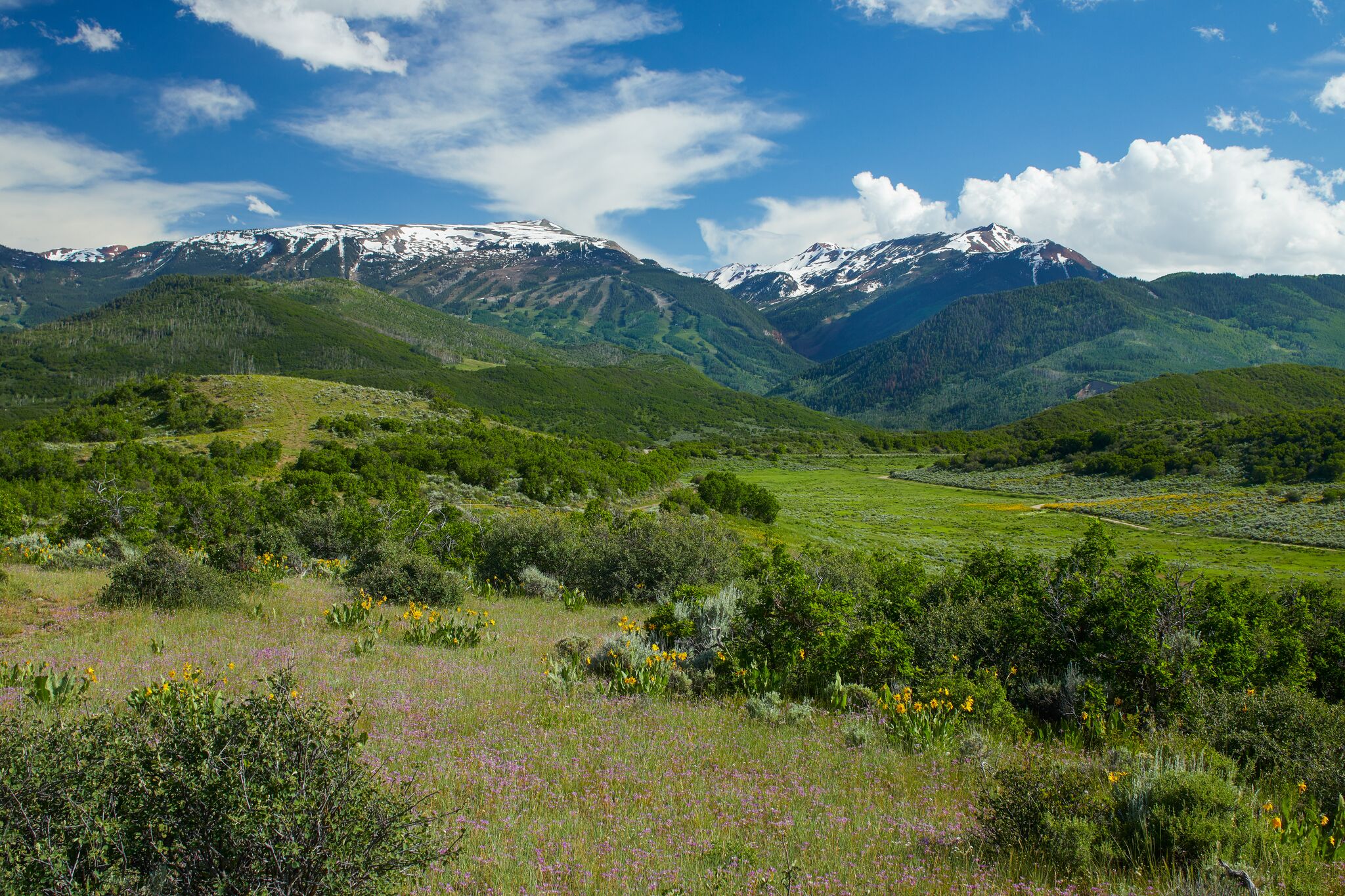 Elk Mountain Ranch + Homesite